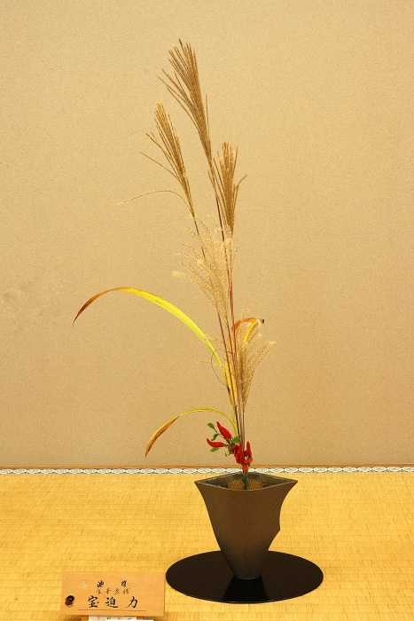 Next Picture