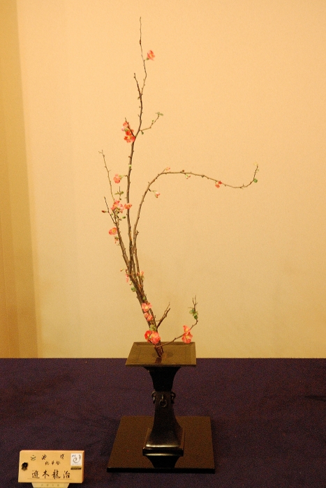 Next Picture