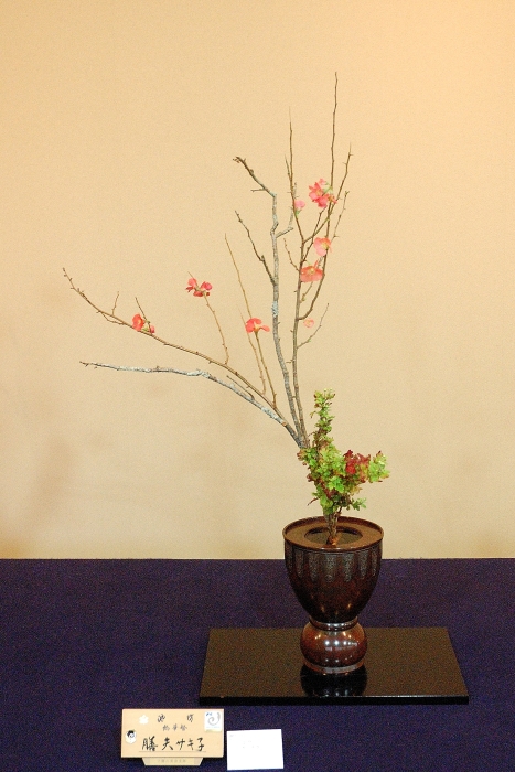 Next Picture